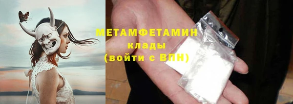 PSILOCYBIN Михайлов